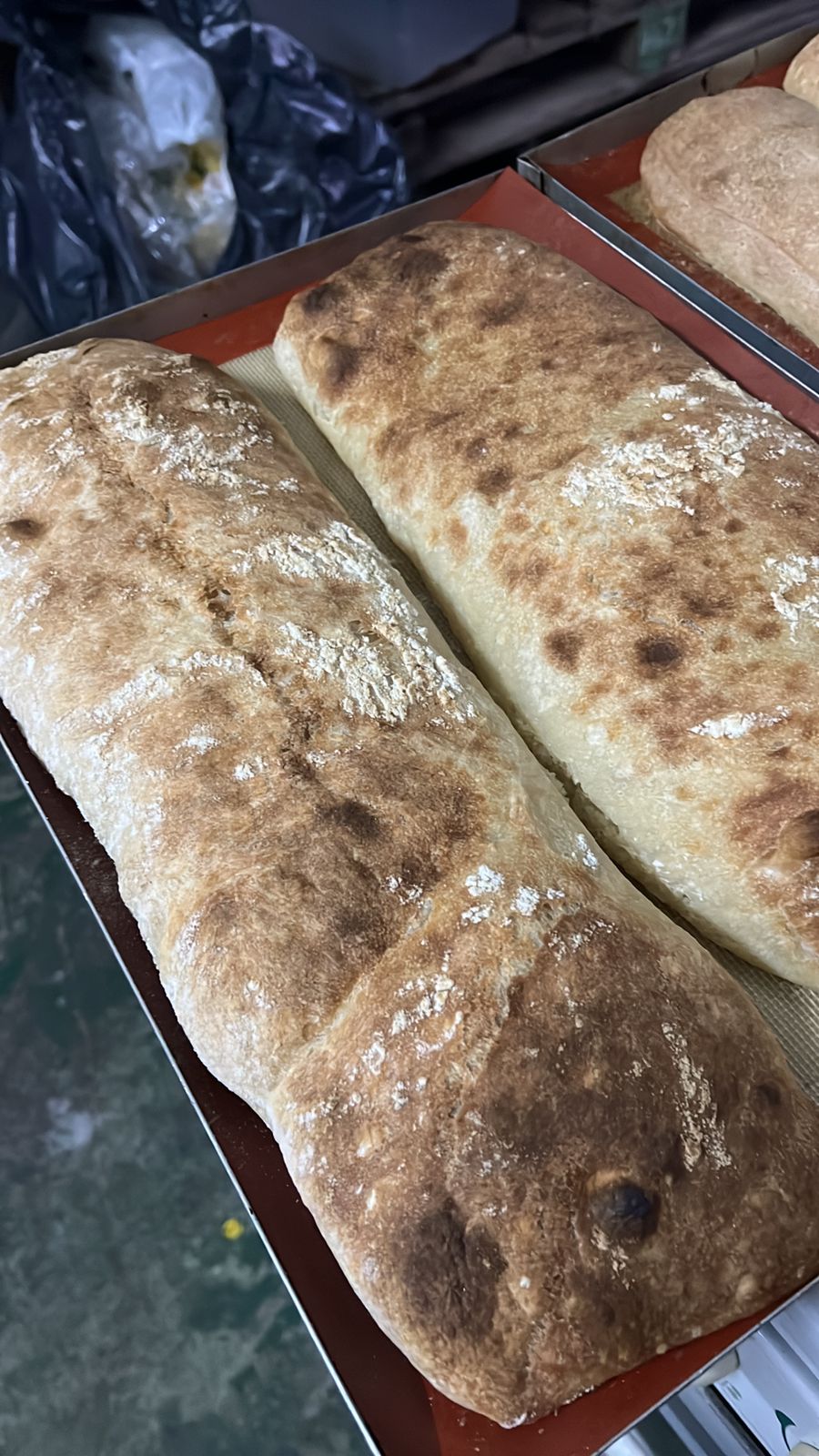 Ciabattas